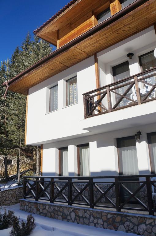 Boriki Complex Villa Pamporovo Bagian luar foto